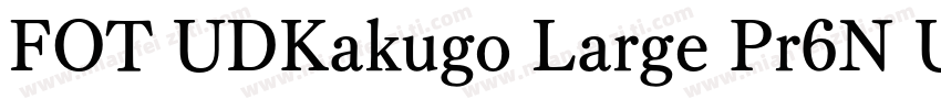 FOT UDKakugo Large Pr6N U字体转换
